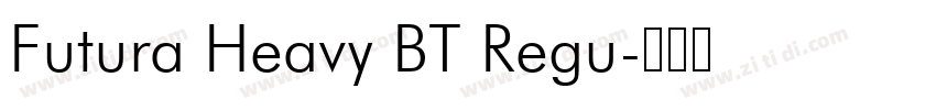 Futura Heavy BT Regu字体转换
